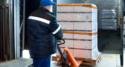 shipping employee loading small shipment